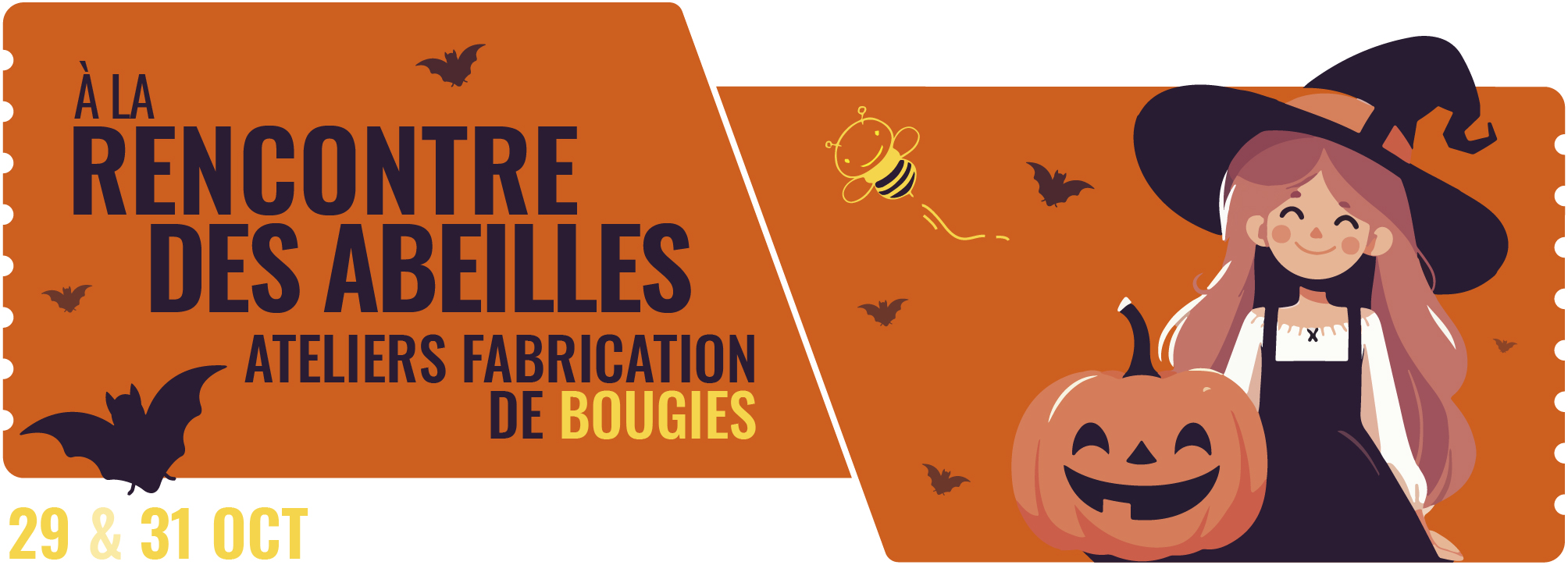 [ A LA RENCONTRE DES ABEILLES ] 🐝