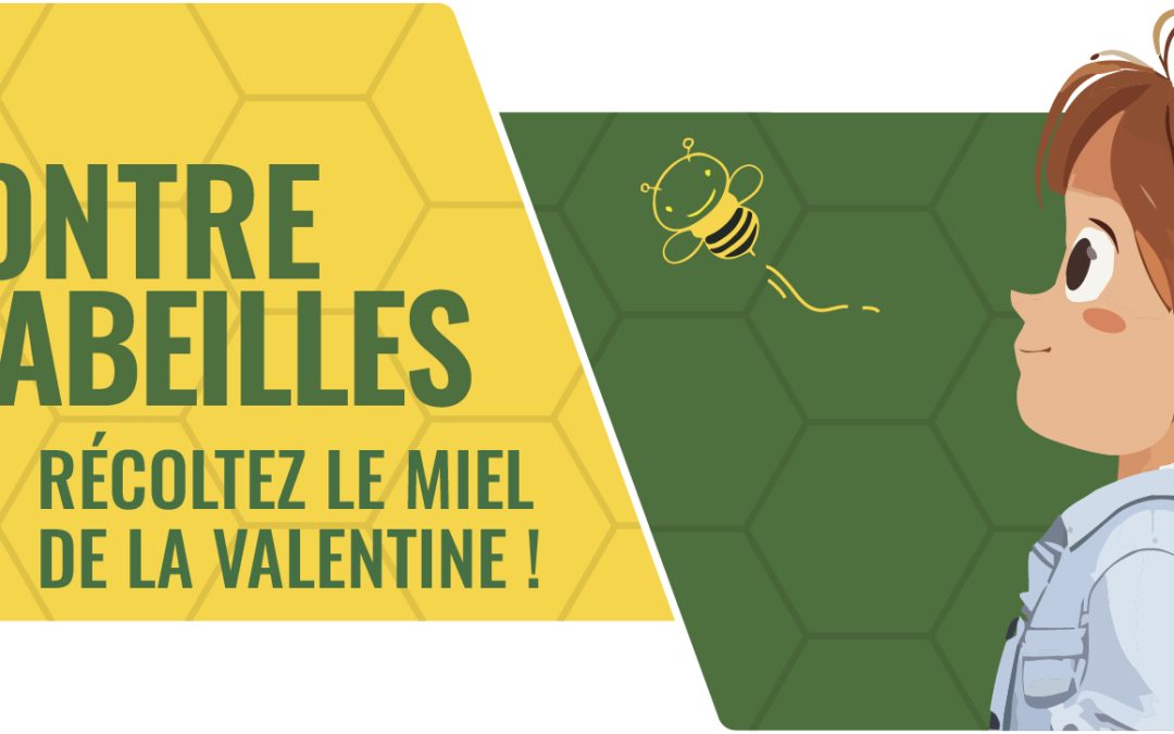 [À LA RENCONTRE DES ABEILLES] 🐝